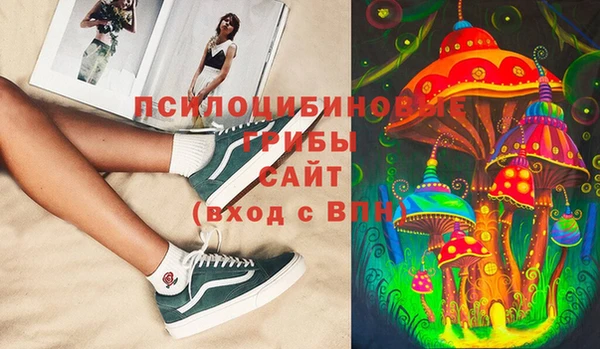 apvp Беломорск