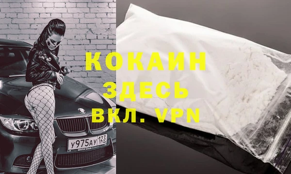 гидра Белокуриха