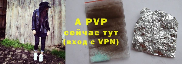гидра Белокуриха