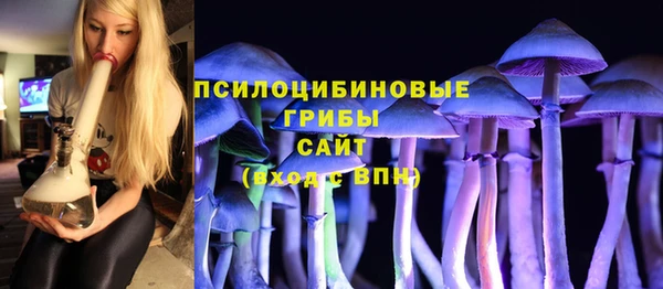 гидра Белокуриха