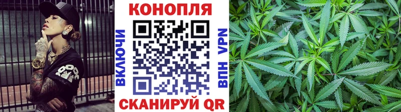 Шишки марихуана план Волосово